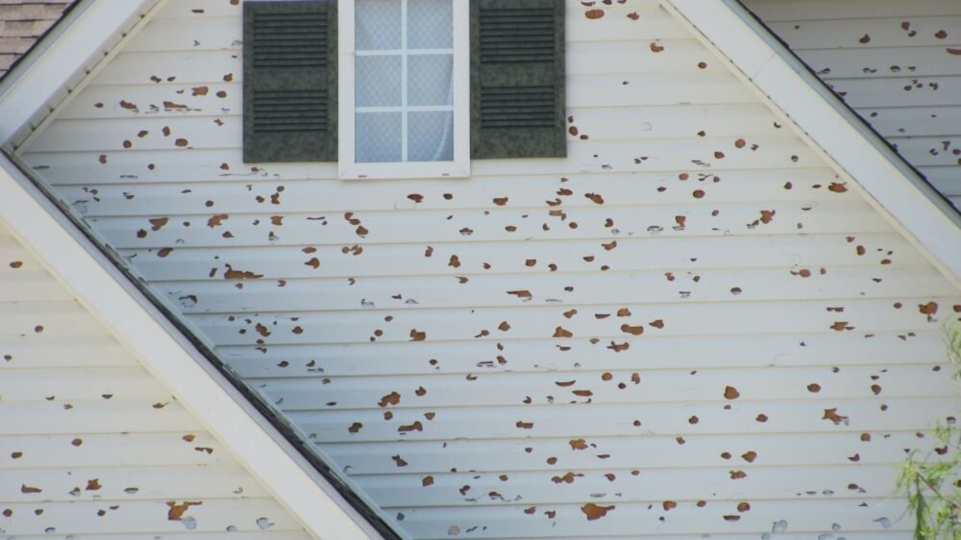Hail Damage Claims