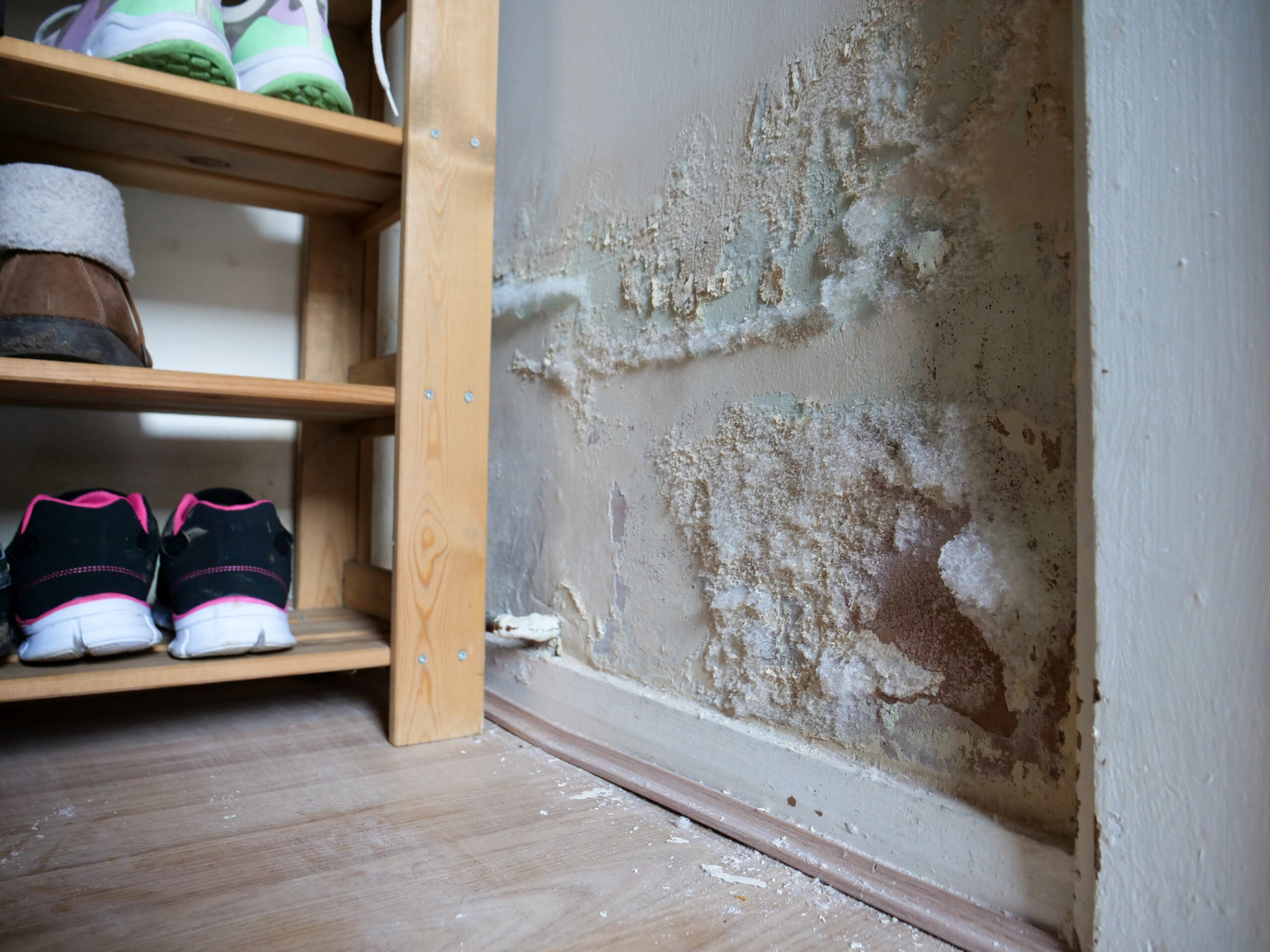 You are currently viewing Maximizing Your Mold and Water Damage Settlements: The Power of a Public Adjuster
